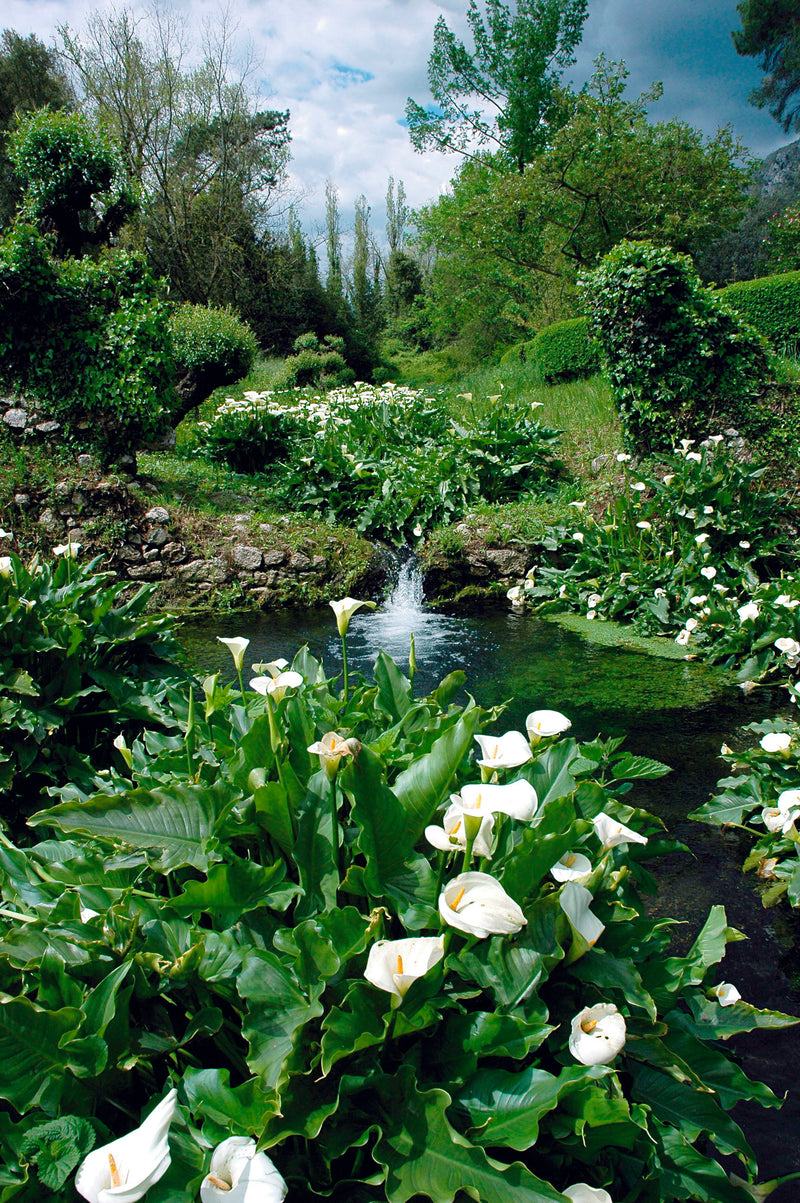 ESSERE Flüssigseife für ENJOY Spender