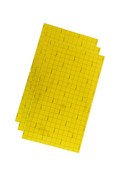 Adhesive film for LUMI XL fly trap